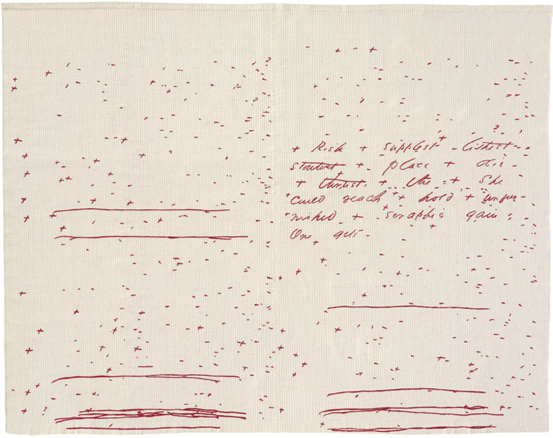 Jen Bervin, The Composite Marks of Emily Dickinson's Fascicle 28